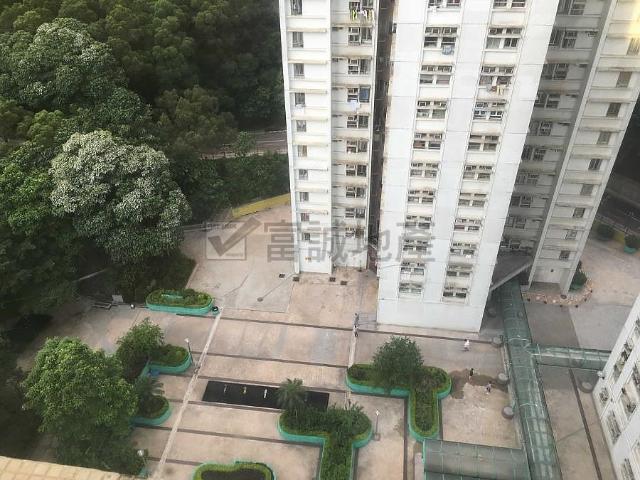 KING SHAN COURT