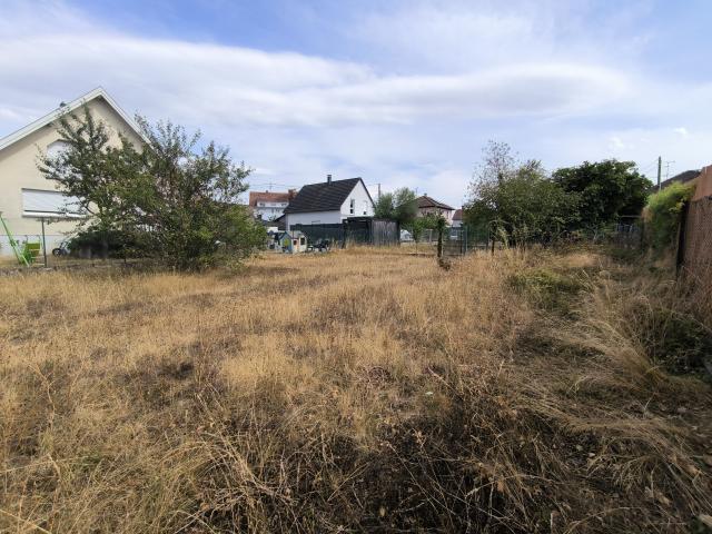 Kingersheim, terrain constructible