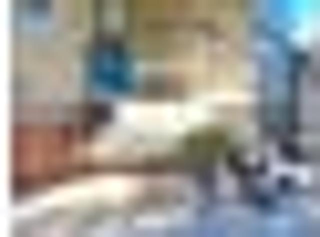 Kingston, 1 bedroom, $450 pw