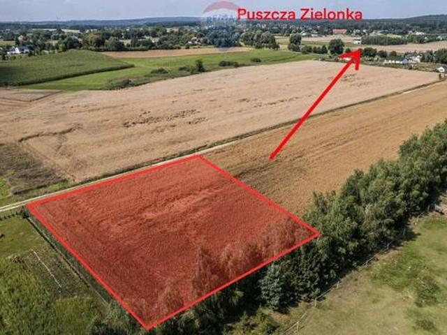 Kicin k/Poznania|3007 m² idealna pod dom
