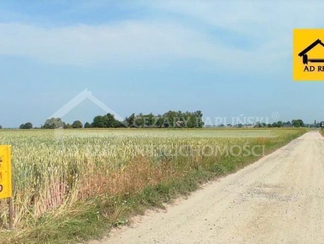 Kiełczewice Górne, Kiełczewice, 7 000 m2