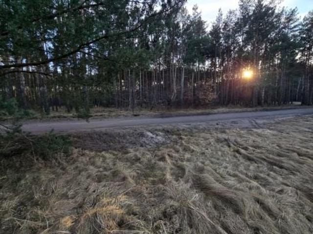 Kielecka 3 000 m², Zielonka