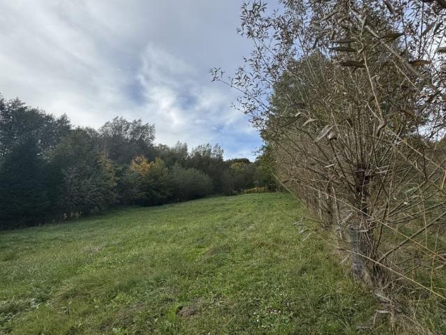 Kielnarowa, 4 400 m2