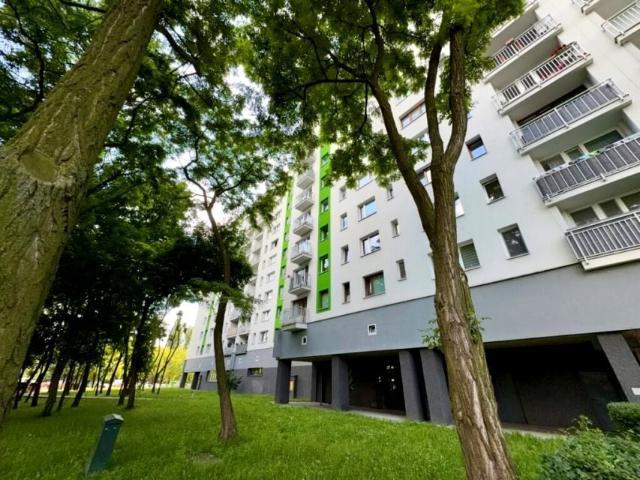 Kierocińskiej 50 m², Sosnowiec