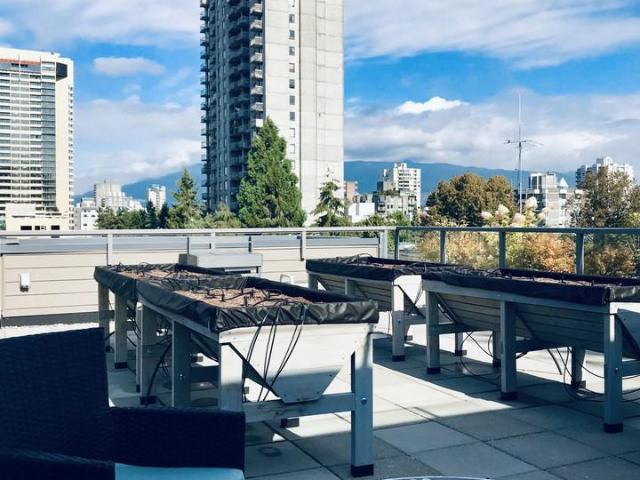 Kie's Place 2 Bedroom Apartment for Rent at 1534 Henshaw Lane, Vancouver, BC V6G 0C2 West End