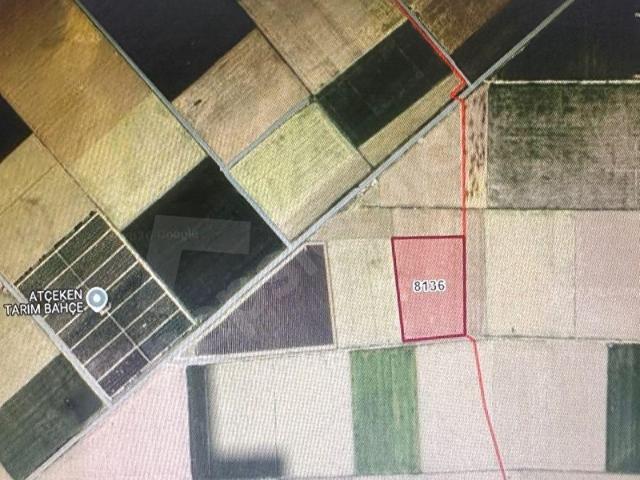 KILBASANDA SATILIK 11 DÖNÜM TARLA