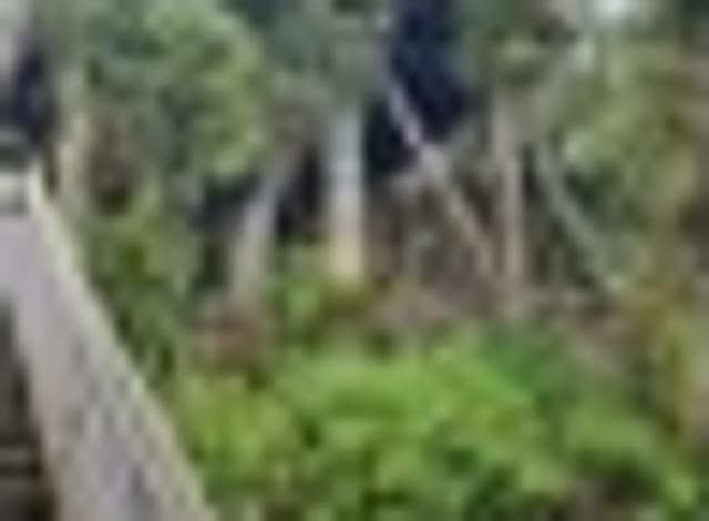 Kilbirnie, 3 bedrooms, $700 pw