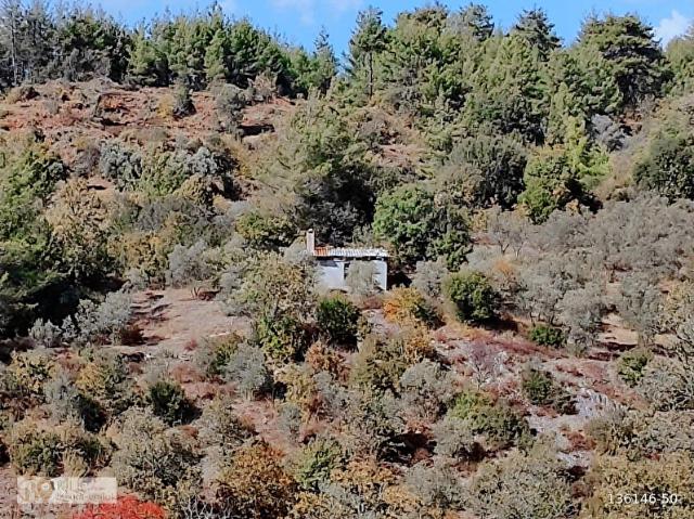 KILIÇ İNŞAAT EMLAK'TAN MUĞLA ULA'DA SATLIK TEK TAPU ARSA