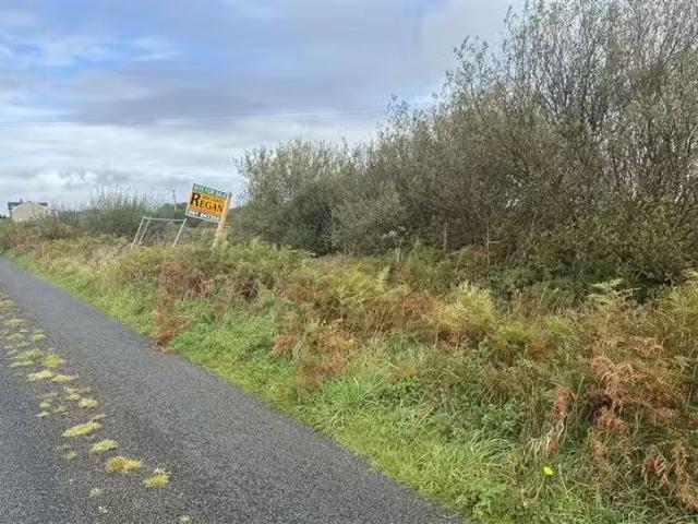 Kilmacduane, Cooraclare, Co. Clare is for sale