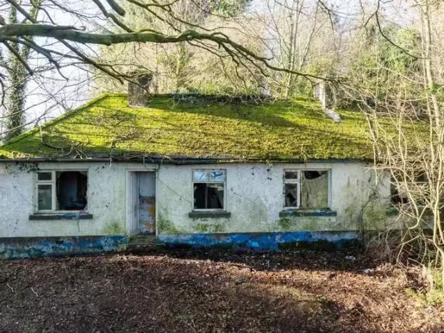 Kilmore Lower Breandrum, Cavan near eircode H12 Y5X0, Cava.