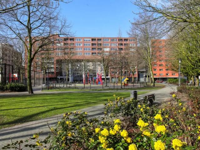 Kipstraat 41 C