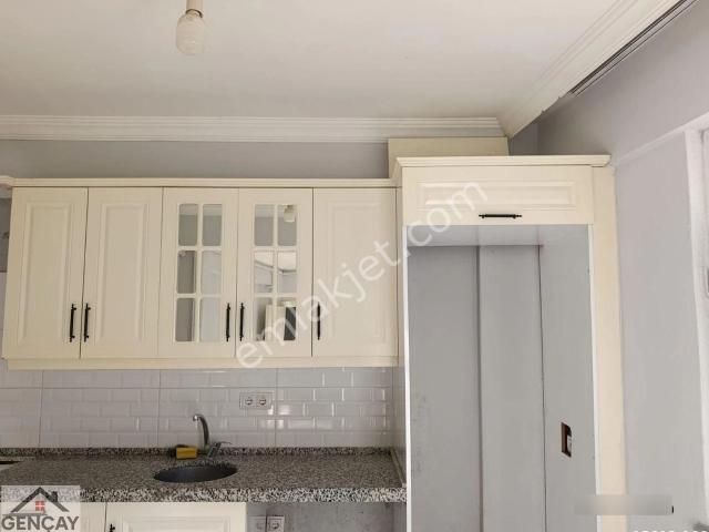 Kiralık Dfaire Fatsa Sakarya Mahallesi Alt Kumru Caddesi