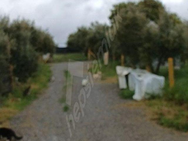 kiralık hobi bahceleri elektrik su yol sekizbin aylık 250m2