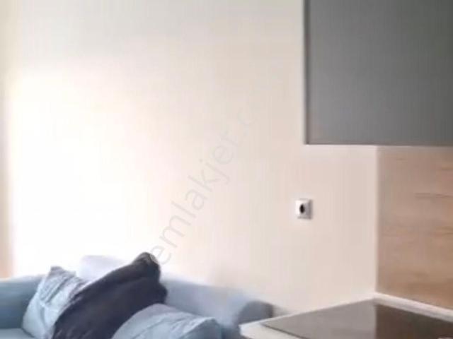 Kiralik1+0