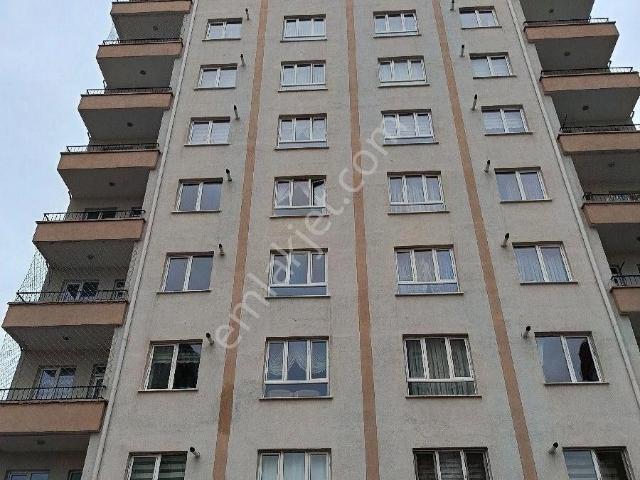 Kiralik Daire Yunus Emre Karadeniz Cd Yanu
