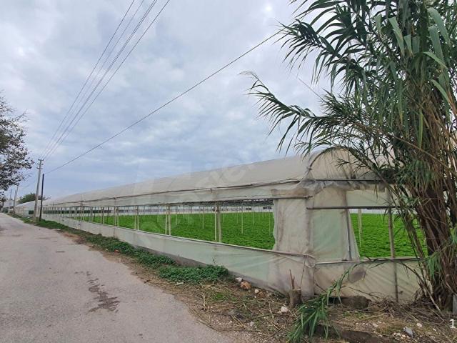 KIRCAMİ İMAR PLANI KAPSAMINDA YEŞİLOVADA SATILIK 182 M2 HİSSELİ ARSA