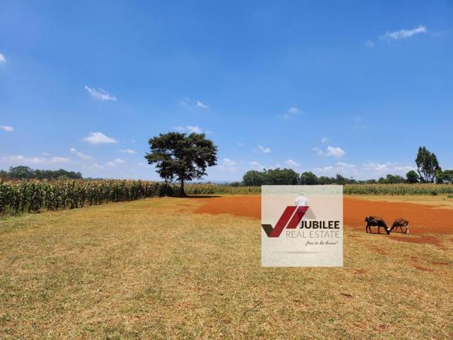 Kitisuru: Exceptional 25 acre parcel for sale