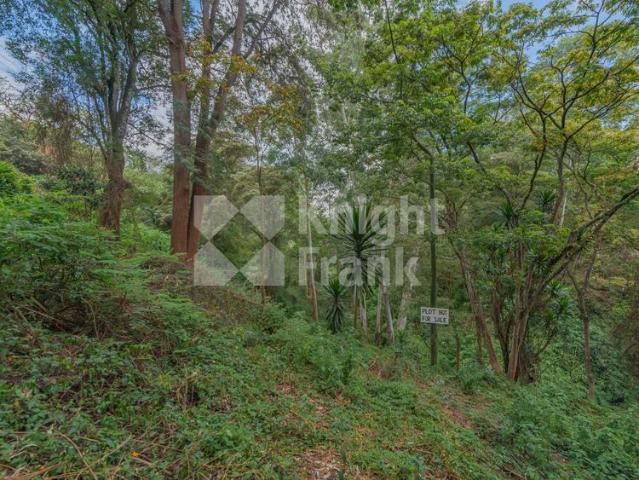 Kitisuru land for sale