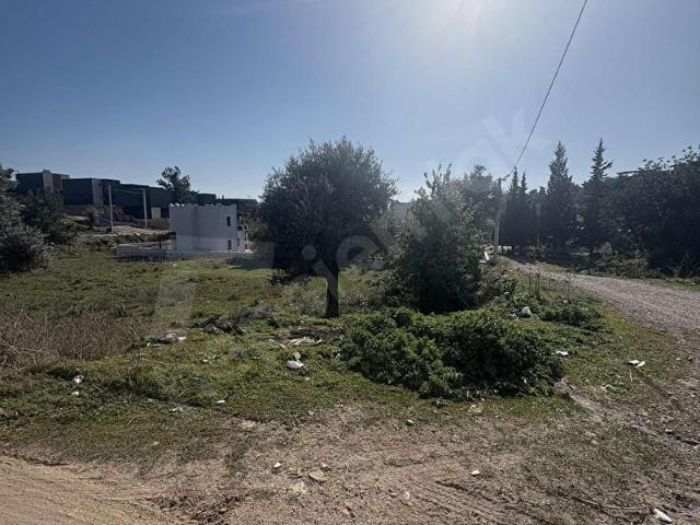 KIYIKIŞLACIK ZEYTİNLİKUYU DA İMARLI ARSA
