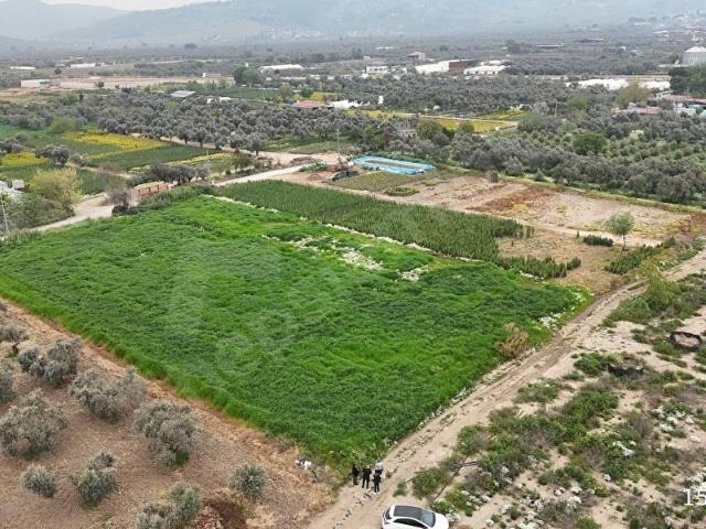 KIZILCAOVADA ÇİÇEKÇİLERE MÜJDE MÜKEMMEL YOL KENARI ARSA