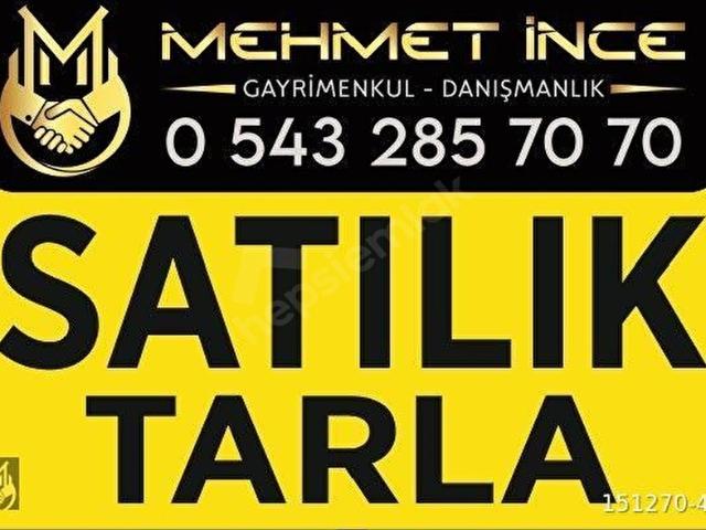 KIZILKUYU KÖYÜNDE ANA YOLA 420 metre UZAKLIKTA SATILIK TARLA