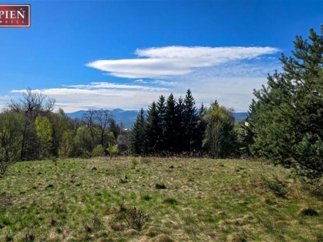 Kościelna 3 401 m², Wojcieszyce