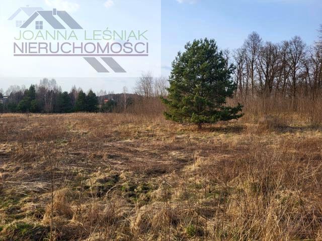 Kościelna 1 785 m², Krzykawka