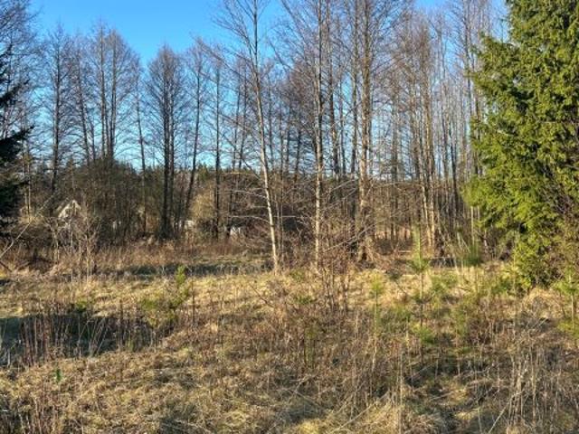 Kościelna 938 m², Niewodnica Kościelna
