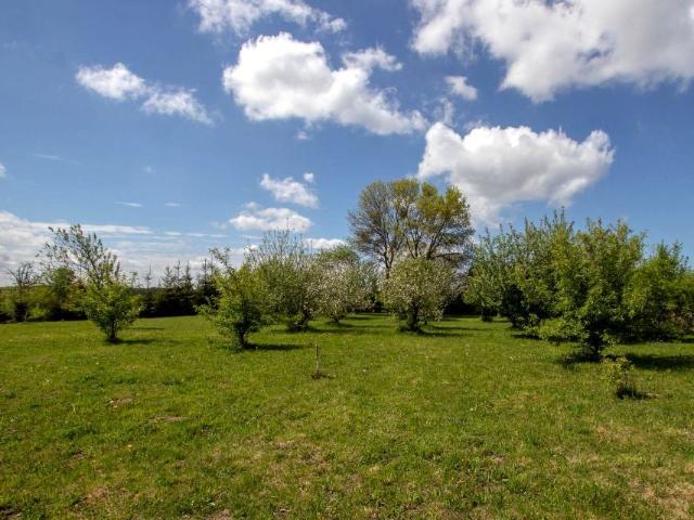 Kościernica 1 290 m², Kościernica