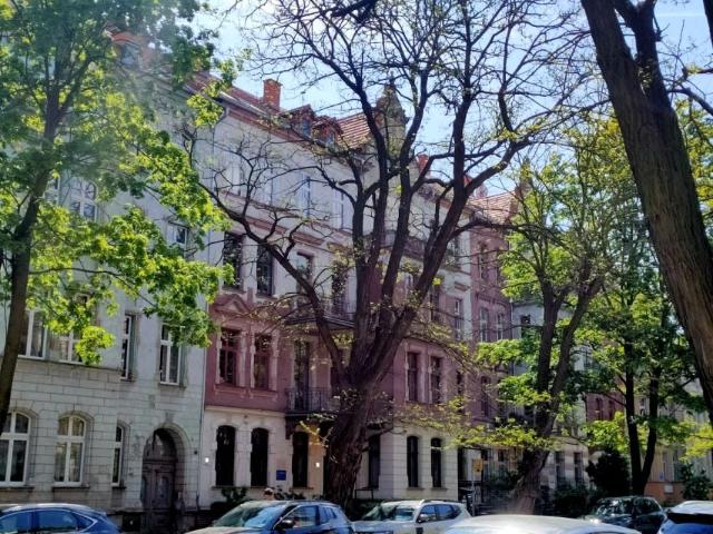 Kościuszki 106,10 m², Legnica
