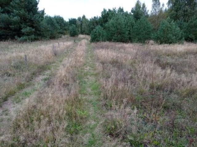 Koźle, 3167 m² Działka