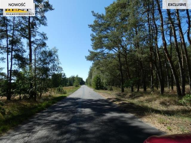 Komarowo, 1 000 m2