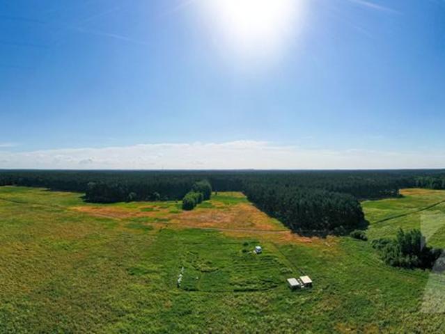 Komarowo, 3 167 m2