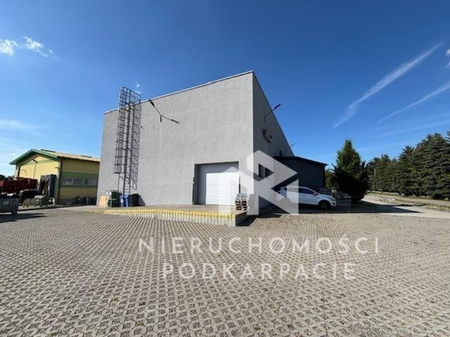 Komercyjne magazyn na wynajem