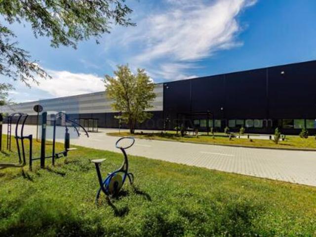 Komercyjne magazyn na wynajem, Warszawa, Targówek