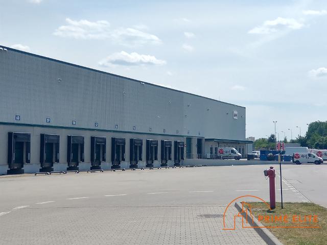 Komercyjne magazyn na wynajem, Warszawa, Białołęka, Daniszewska