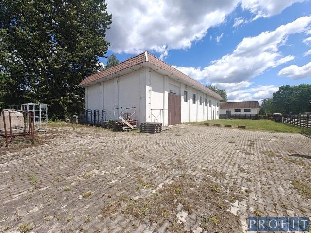 Komercyjne magazyn na wynajem, Dąbrowa Górnicza