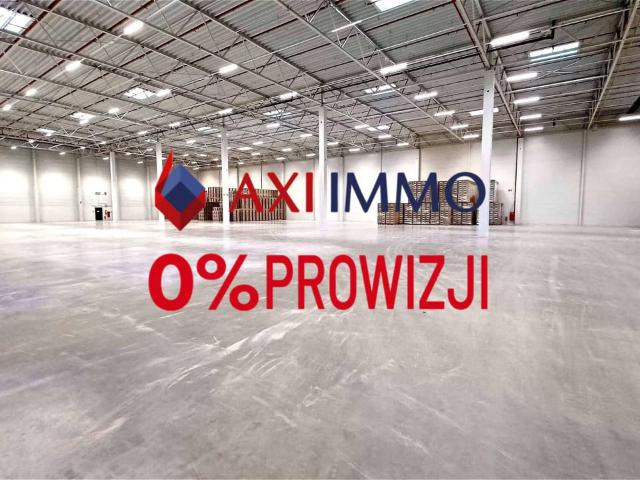 Komercyjne magazyn na wynajem, Gdańsk