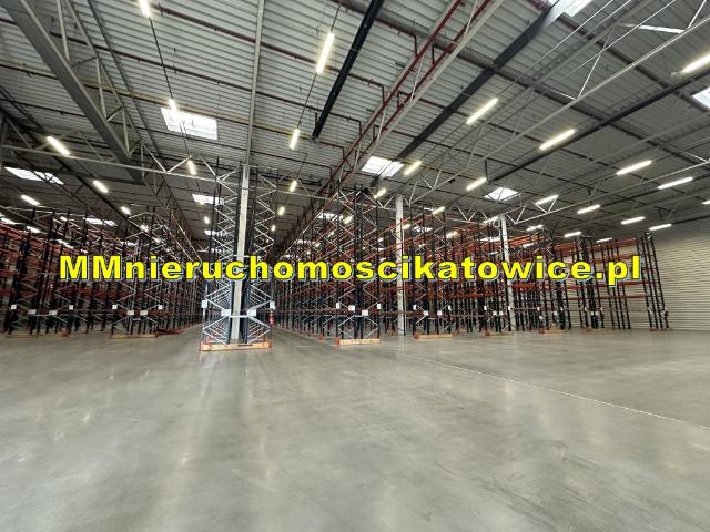Komercyjne magazyn na wynajem, Katowice