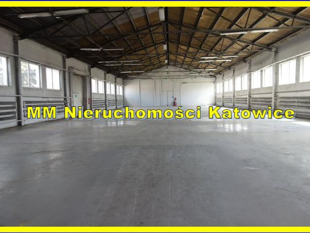 Komercyjne magazyn na wynajem, Katowice
