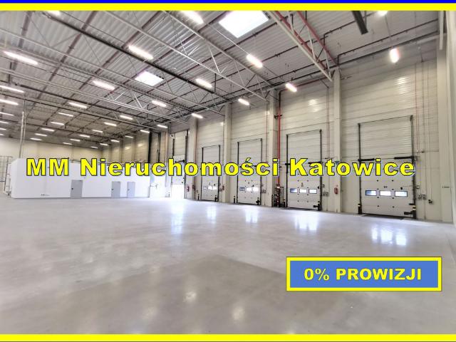 Komercyjne magazyn na wynajem, Katowice