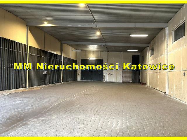 Komercyjne magazyn na wynajem, Katowice