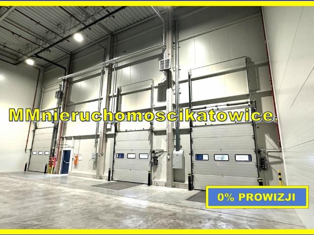 Komercyjne magazyn na wynajem, Katowice