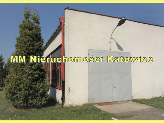 Komercyjne magazyn na wynajem, Katowice
