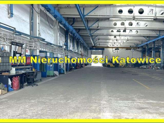 Komercyjne magazyn na wynajem, Katowice