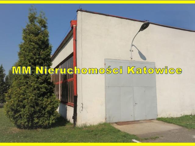 Komercyjne magazyn na wynajem, Katowice