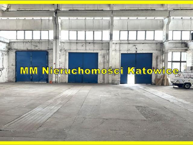 Komercyjne magazyn na wynajem, Katowice