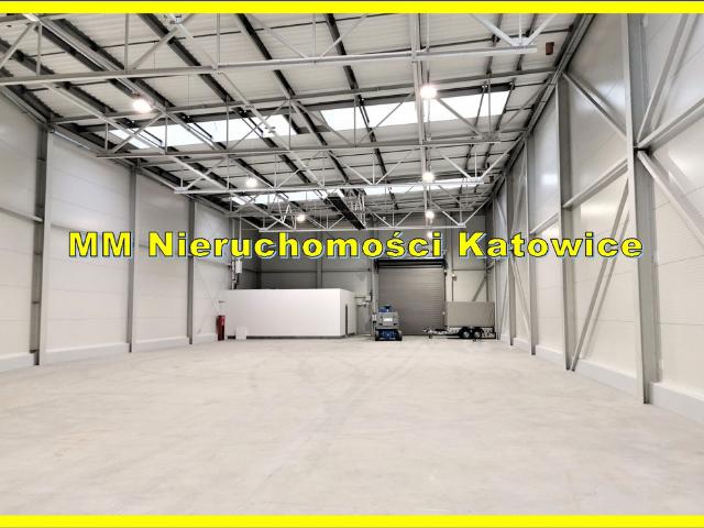 Komercyjne magazyn na wynajem, Katowice