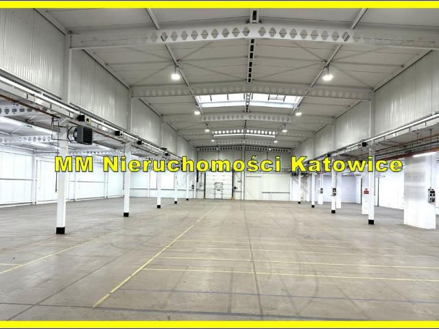 Komercyjne magazyn na wynajem, Katowice