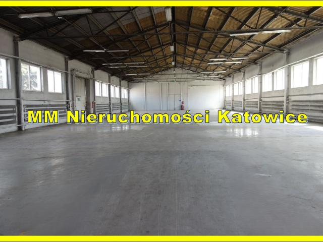 Komercyjne magazyn na wynajem, Katowice